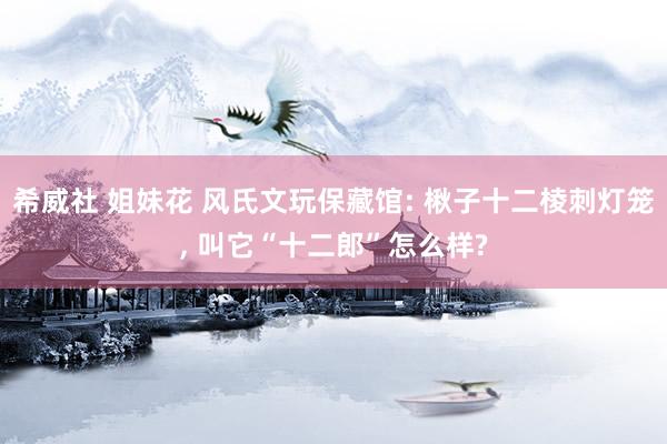 希威社 姐妹花 风氏文玩保藏馆: 楸子十二棱刺灯笼， 叫它“十二郎”怎么样?