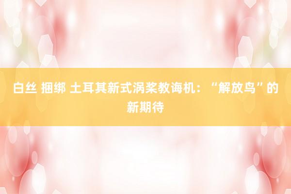 白丝 捆绑 土耳其新式涡桨教诲机：“解放鸟”的新期待